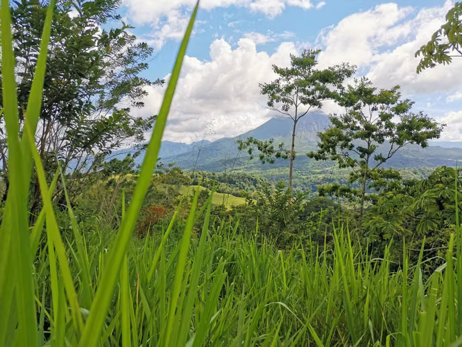 Finca en Venta en San Carlos, vistas al Volcán, cerca de La Fortuna - Imagen 14