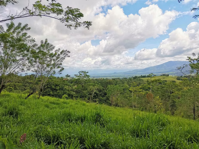 Finca en Venta en San Carlos, vistas al Volcán, cerca de La Fortuna - Imagen 16