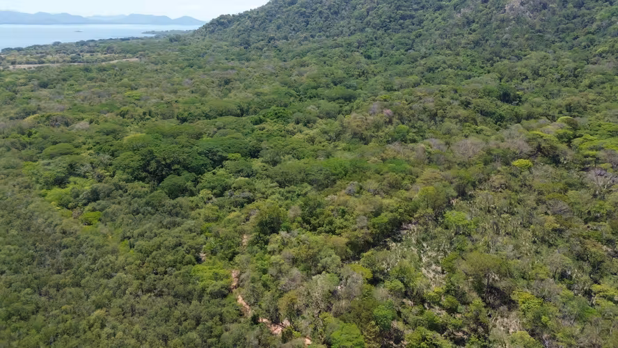 Finca de 108 Hectáreas Frente al Mar en Isla de Chira, Puntarenas