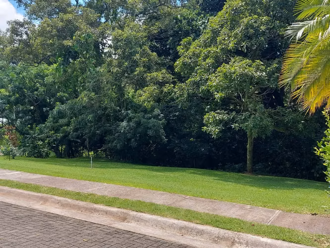 Lote en venta en Naranjo en Plantation Estates, plano 586m2