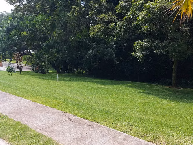Lote en venta en Naranjo en Plantation Estates, plano 586m2