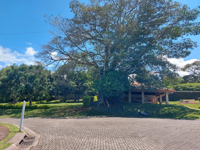 Lote en venta en Naranjo, plano 593m2, Plantation Estates