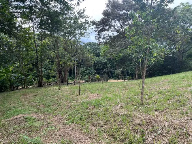 Terreno en Condominio con vista al Mar - Imagen 5