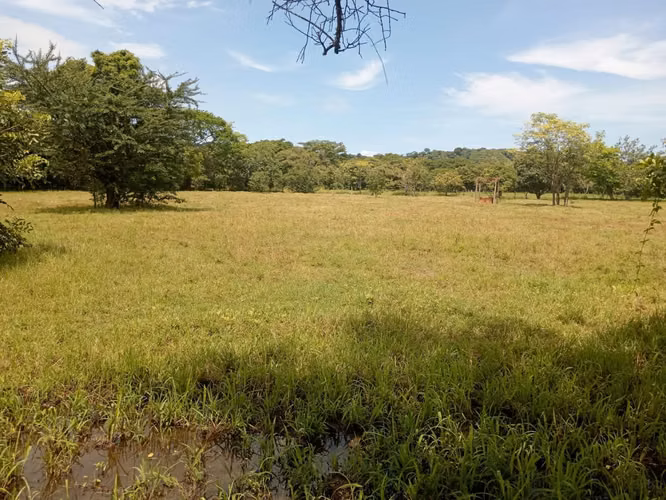 Lote en Venta en Guanacaste, Sardinal , Papagayo