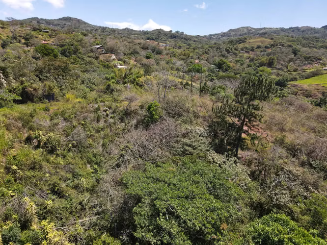 Finca en venta en San Ramón, vistas al Océano - Imagen 14