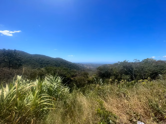 Finca en venta en San Ramón, vistas al Océano - Imagen 6