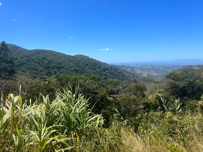 Finca en venta en San Ramón, vistas al Océano - Imagen 5