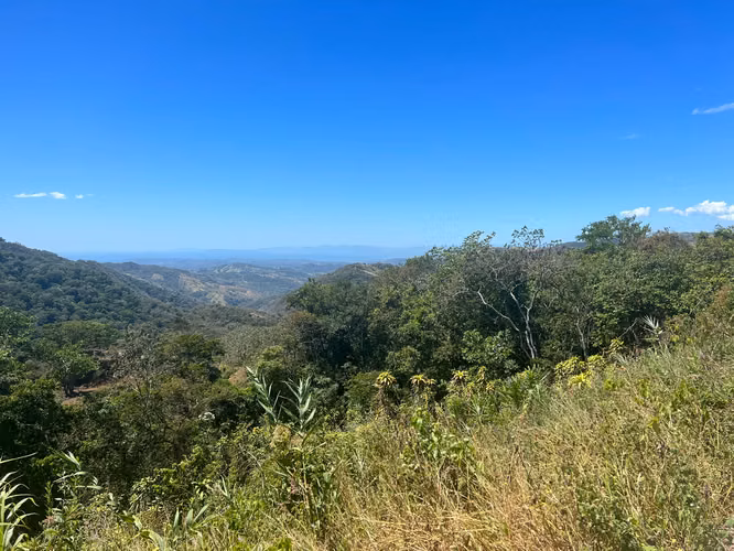 Finca en venta en San Ramón, vistas al Océano - Imagen 2