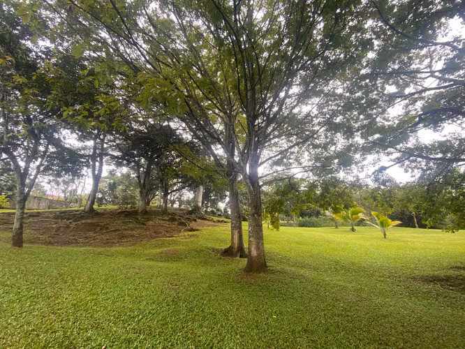 Venta de finca para recreo en Ciudad Colón, #5562 - Imagen 3