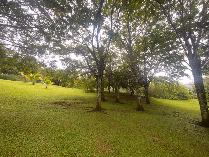 Venta de finca para recreo en Ciudad Colón, #5562 - Imagen 2
