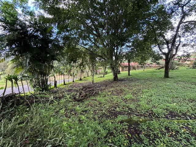 Venta de lote en San Ramón de Tres Ríos, #5554 - Imagen 2