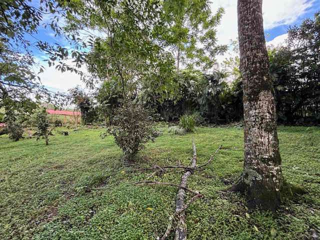 Venta de lote en San Ramón de Tres Ríos, #5554 - Imagen 6