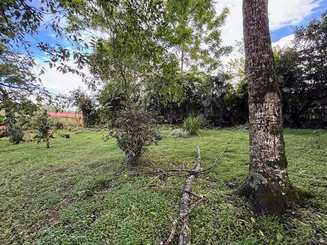 Lot sale in San Ramón de Tres Ríos, # 5554