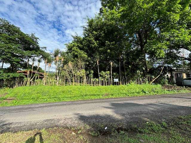 Venta de lote en San Ramón de Tres Ríos, #5554 - Imagen 9