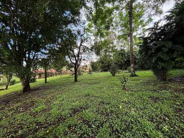 Venta de lote en San Ramón de Tres Ríos, #5554 - Imagen 8