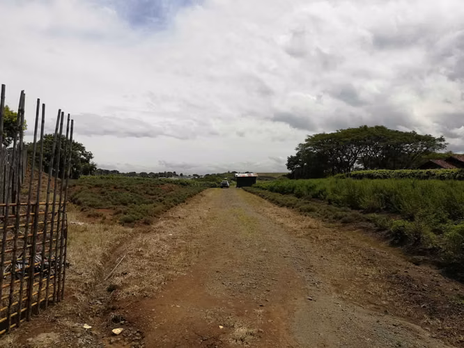 VENTA DE LOTE PARA DESARROLLAR EN SAN RAFAEL, ALAJUELA#4933 - Imagen 2