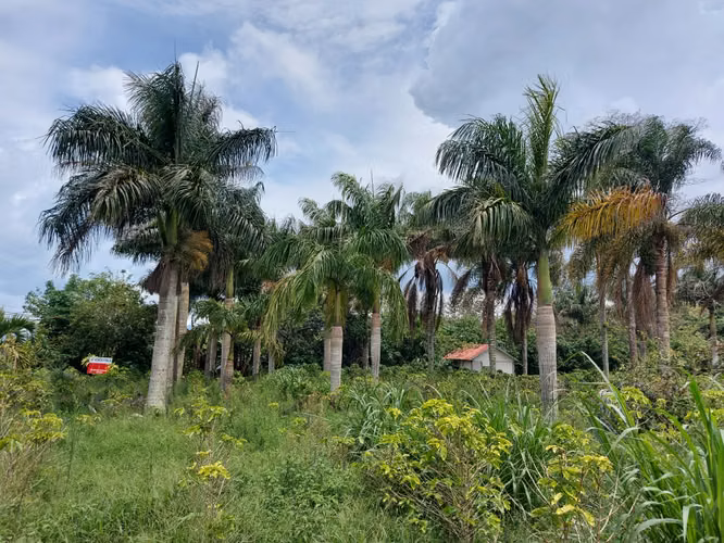 Finca en venta en Naranjo, plano ideal para desarrollo residencial