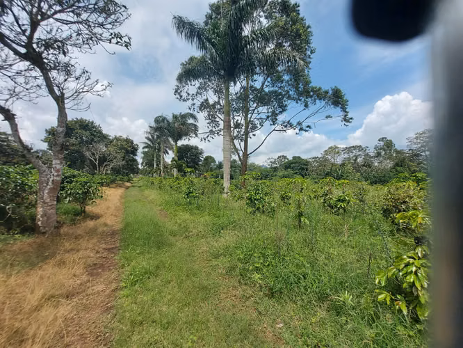 Finca en venta en Naranjo, plano ideal para desarrollo residencial