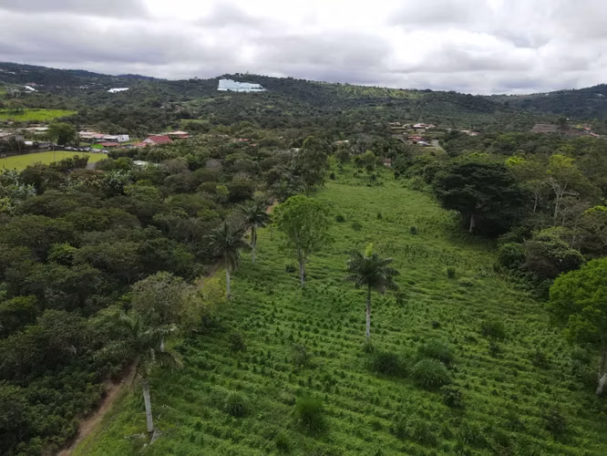 Finca en venta en Naranjo, plano ideal para desarrollo residencial