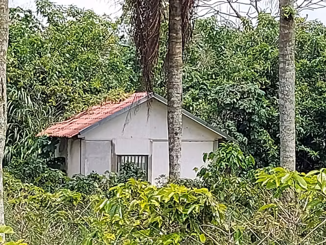 Finca en venta en Naranjo, plano ideal para desarrollo residencial