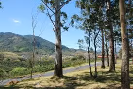Venta de finca para desarrollo habitacional, Tres Ríos, Cartago, #5030 - Imagen 11