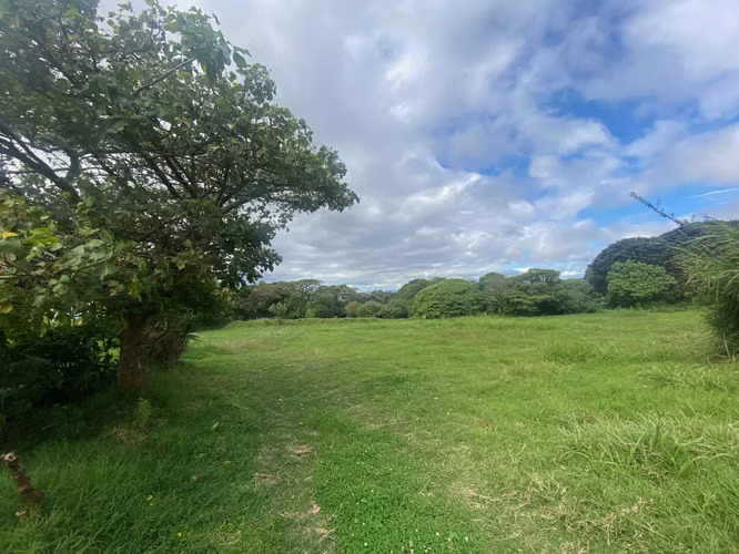 Venta de lote para desarrollo habitacional, Coronado, San José, #4984 - Imagen 4
