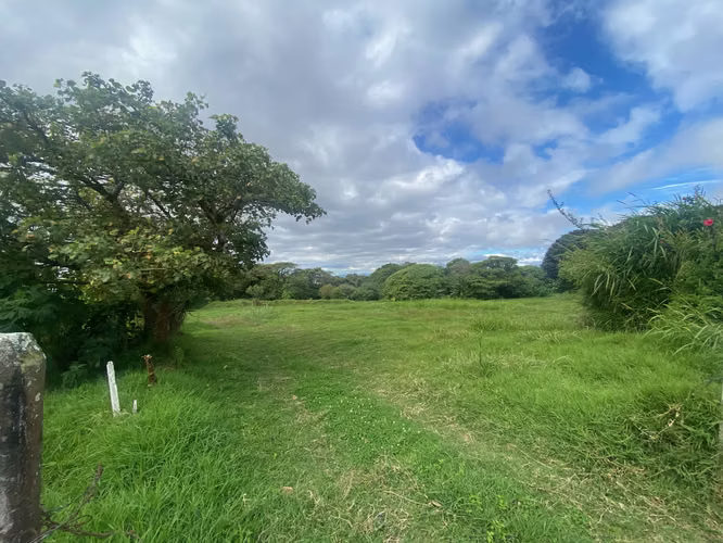 Venta de lote para desarrollo habitacional, Coronado, San José, #4984 - Imagen 5