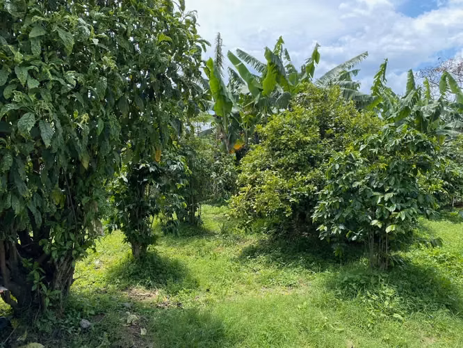 REBAJADO!! Venta de Terreno con uso de suelo mixto, Guadalupe. 5225 - Imagen 2