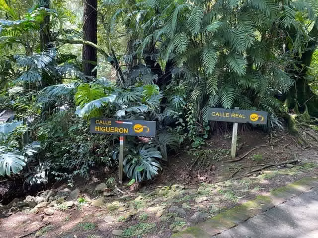 Venta de Lotes con Vista Inmejorable, Santa Ana. 4724 - Imagen 4