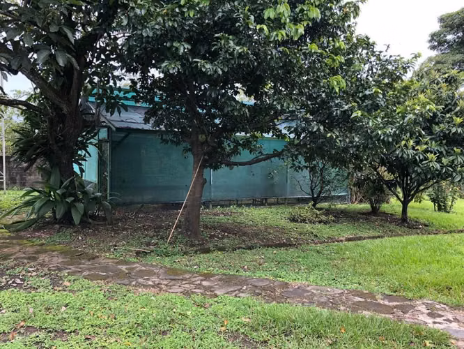 PROPIEDAD PARA DESARROLLO EN SANTA ANA