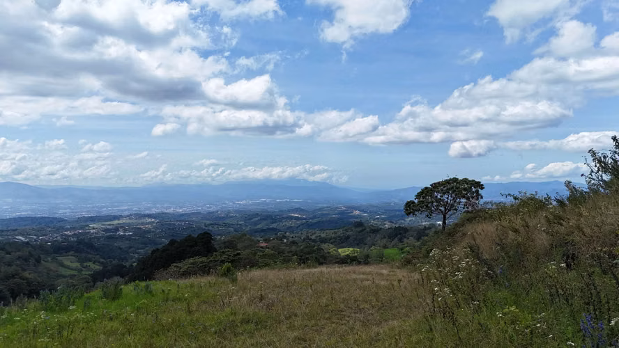 LOTES CON VISTAS PANORAMICAS EN VENTA – PALOS VERDES - Imagen 11