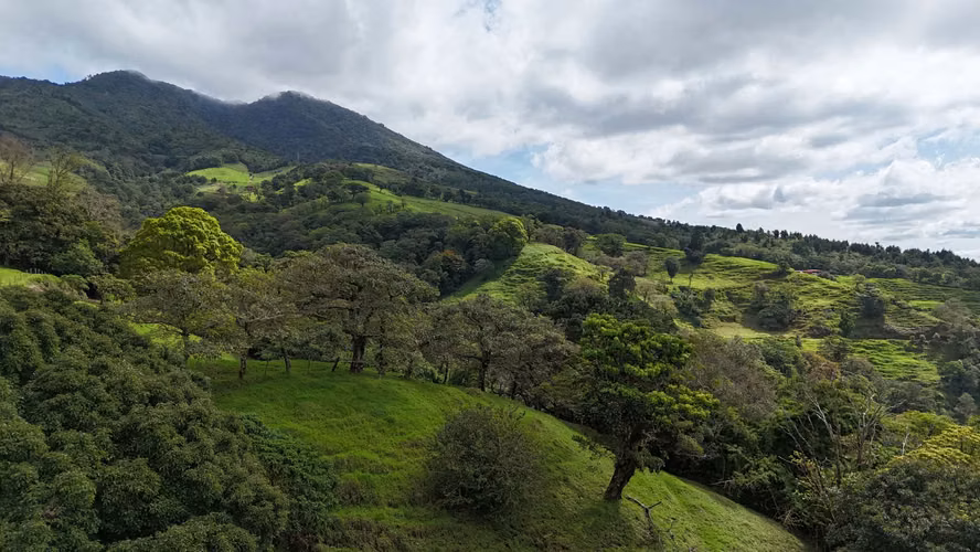 LOTES CON VISTAS PANORAMICAS EN VENTA – PALOS VERDES - Imagen 6