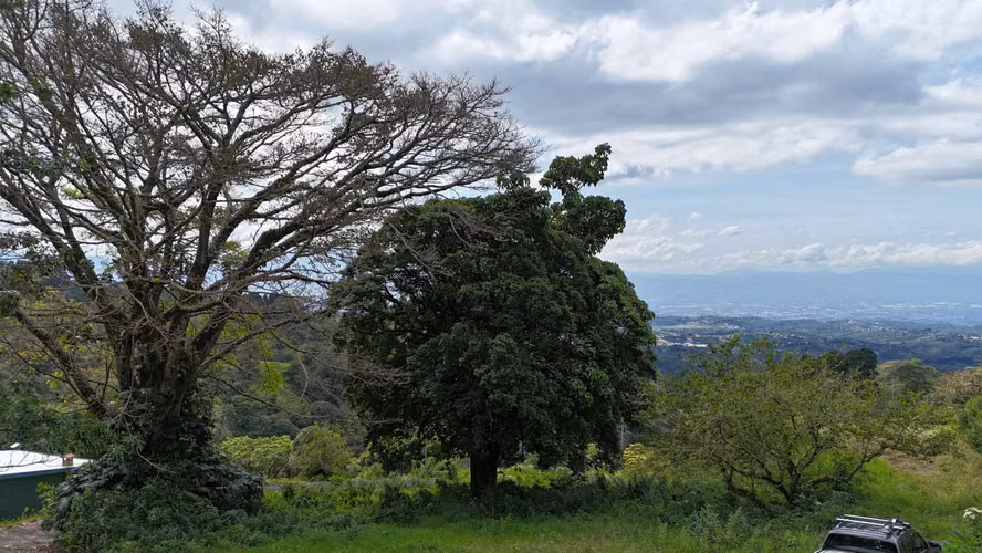 LOTES CON VISTAS PANORAMICAS EN VENTA – PALOS VERDES - Imagen 5