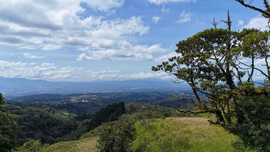 LOTES CON VISTAS PANORAMICAS EN VENTA – PALOS VERDES - Imagen 3