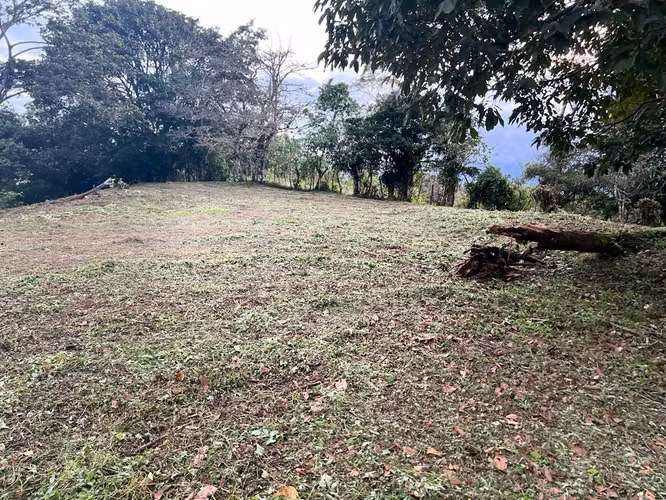 Venta Lote Habitacional - San Ramón de Tres Ríos 5202 - Imagen 4