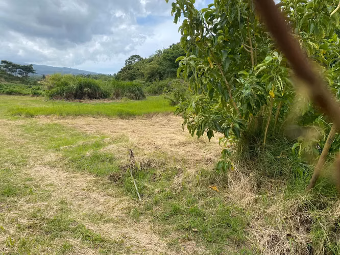 Venta de Terreno, El Carmen, Guadalupe. 2780 - Imagen 5