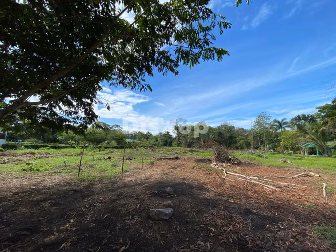 Venta de finca en Ciudad Neily, Corredores. Coloradito, 15 mil m2.