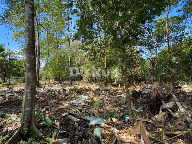 Venta de finca en Ciudad Neily, Corredores. Coloradito, 15 mil m2.