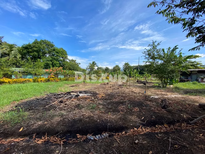 Venta de finca en Ciudad Neily, Corredores. Coloradito, 15 mil m2.