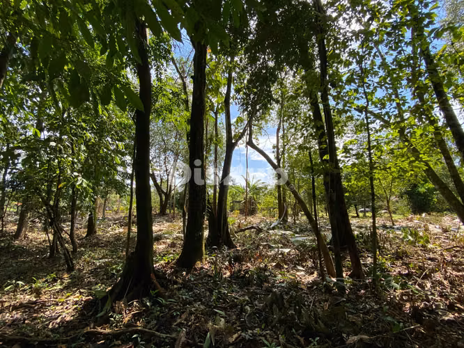 Venta de finca en Ciudad Neily, Corredores. Coloradito, 15 mil m2.