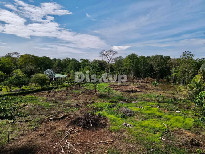 Venta de finca en Ciudad Neily, Corredores. Coloradito, 15 mil m2.