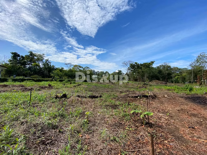 Venta de finca en Ciudad Neily, Corredores. Coloradito, 15 mil m2.