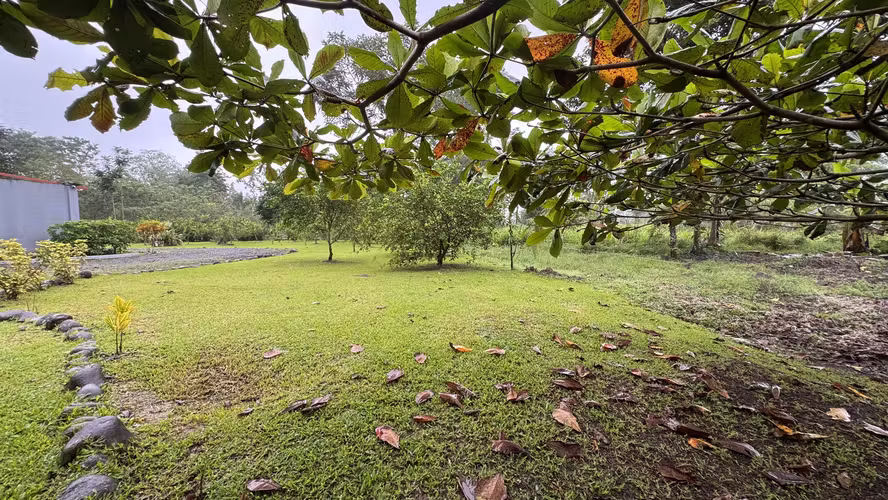 Exclusiva Finca Multipropósito en el Caribe: Residencia, Agricultura y Ganadería en Guápiles, Limón - Imagen 7