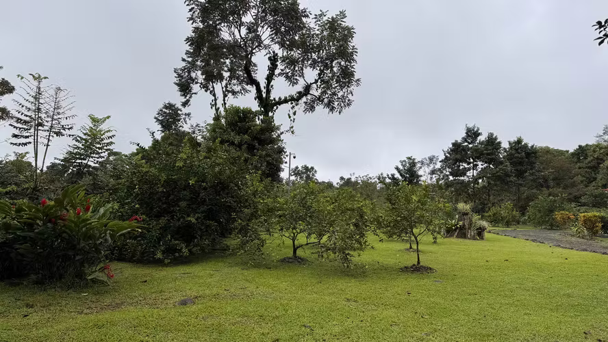 Exclusiva Finca Multipropósito en el Caribe: Residencia, Agricultura y Ganadería en Guápiles, Limón - Imagen 6