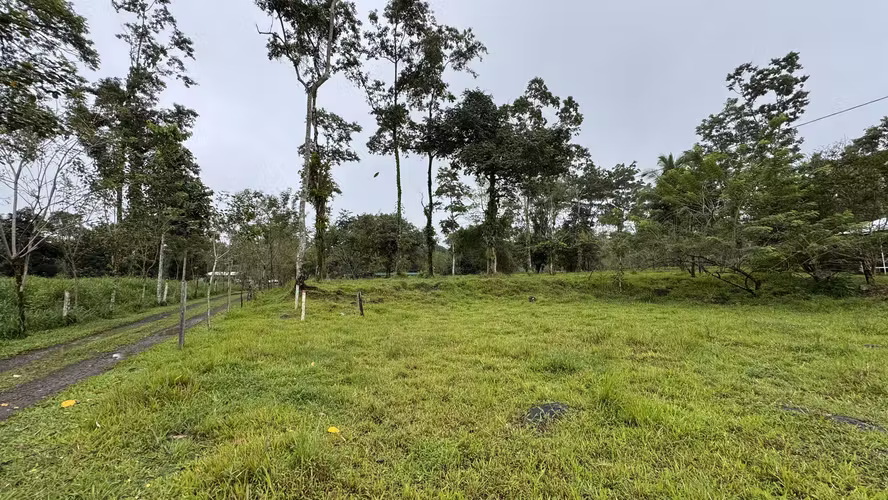 Exclusiva Finca Multipropósito en el Caribe: Residencia, Agricultura y Ganadería en Guápiles, Limón - Imagen 3