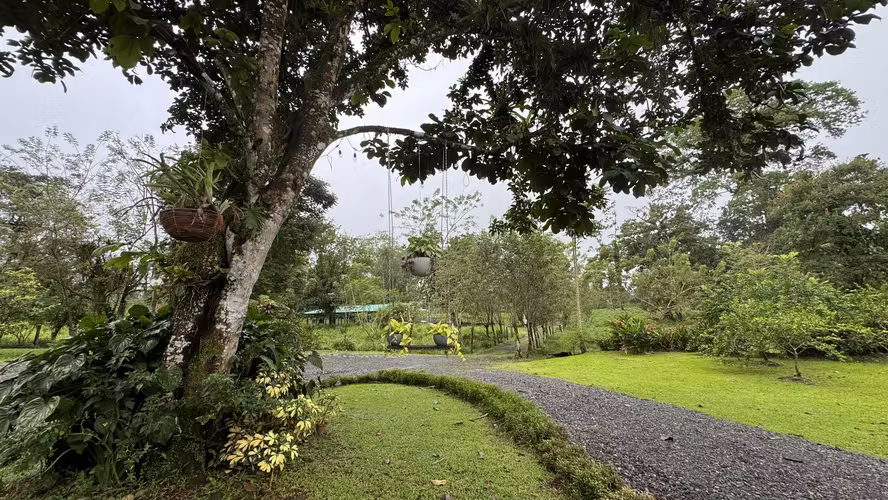 Exclusiva Finca Multipropósito en el Caribe: Residencia, Agricultura y Ganadería en Guápiles, Limón