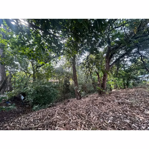 VENTA DE LOTE COMERCIAL, GUANACASTE, NICOYA CENTRO
