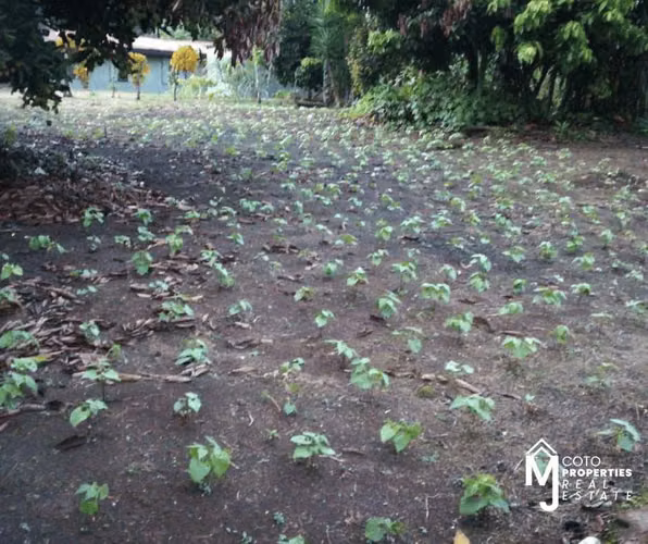 Venta de Lote en Pérez Zeledón