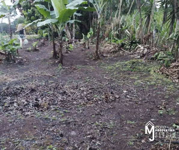 Venta de Lote en Pérez Zeledón