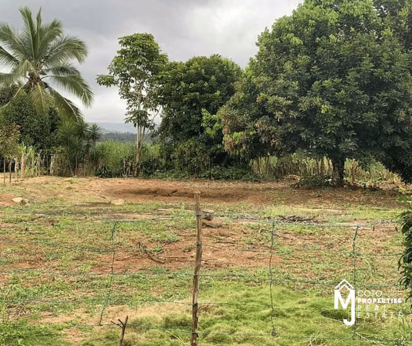Venta de Lote en Pérez Zeledón